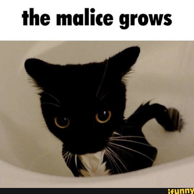 @rosethecat