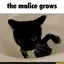 rosethecat avatar