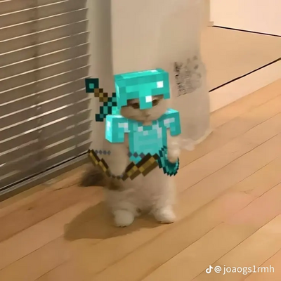 @cricrimo