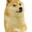 SBA_Gamer avatar