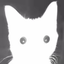cakesie avatar
