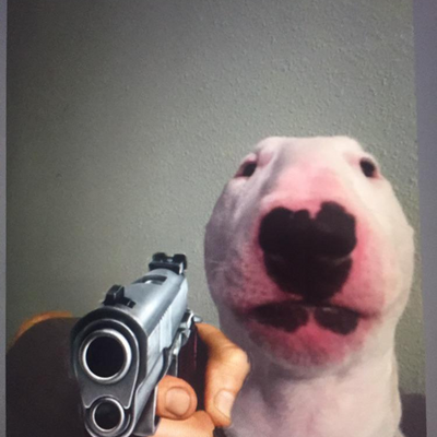 @Kevin_213336