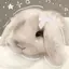 Cinnabun_cutie12 avatar