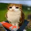 meowl_fanyayyy avatar