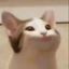 PopcatT_T78 avatar