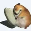 Hamsta avatar