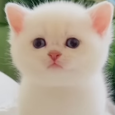 @P1NK141D4