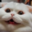tail_hoops avatar