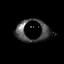 endlessvoidpit avatar