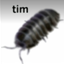 ilikebugs2763 avatar