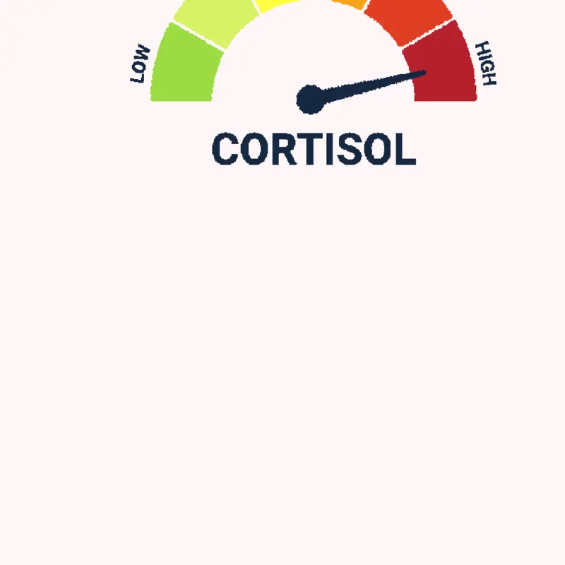 Low cortisol by @tuzki_and_friends