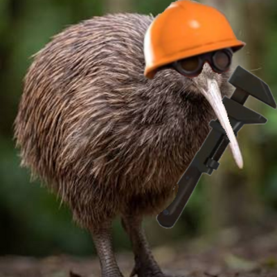 @engineer61kiwi