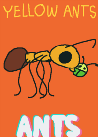 (YELLOW ANTS VERSION!!)