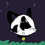 Spooky_rav3n avatar