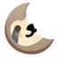 your_527 avatar