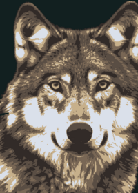 Feed Feedgame game