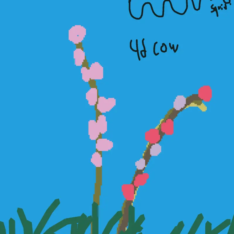 My favorites from delphinium by @Ezr1213