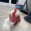 that_chick avatar
