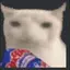 cat_eating_doritos avatar