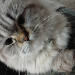 @PLUTOTHEBEST
