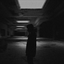 quited_ avatar