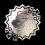 Hatqua avatar