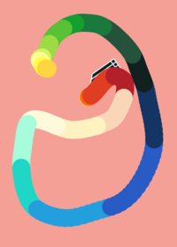 Make your rainbow drawing!