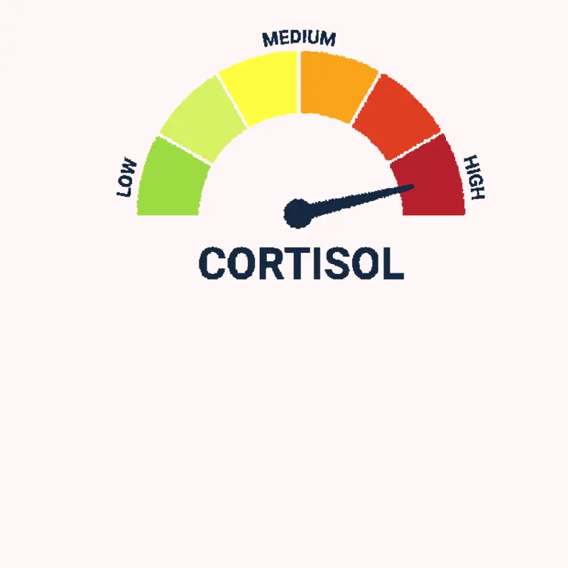 Low cortisol by @winda_and_frends