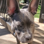 Dream_BARK avatar