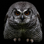 terracow_master avatar