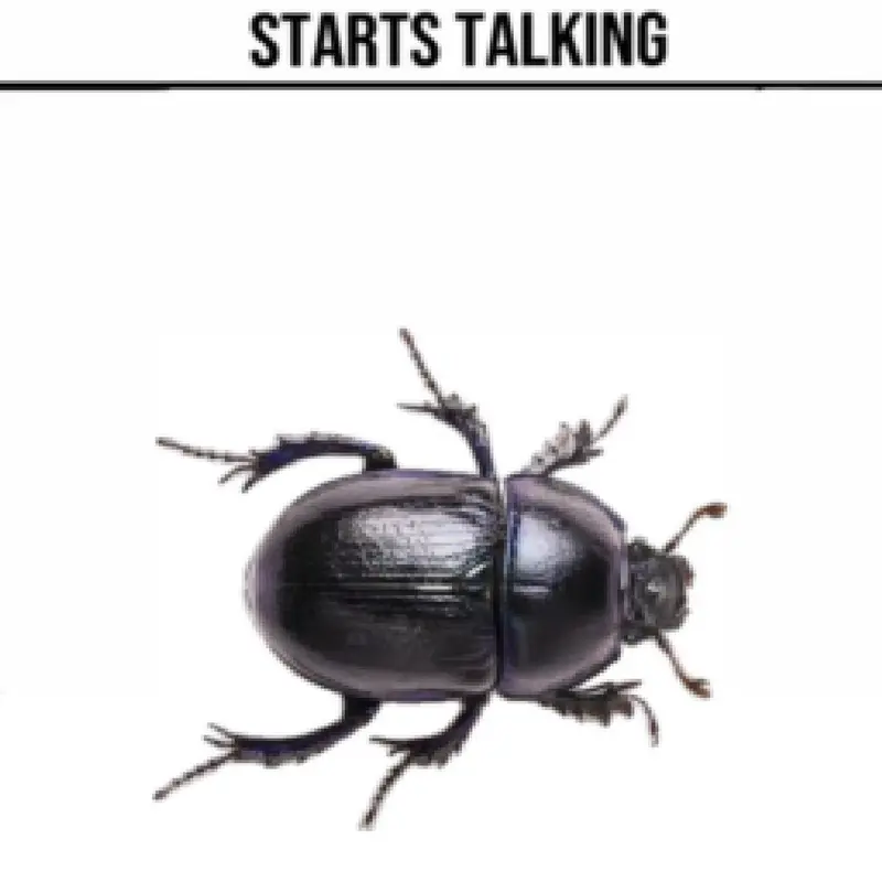 talkingbug by @RAMAL191999-ITZ
