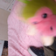 jou96w0u3 avatar