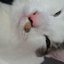 Emeraldowy avatar