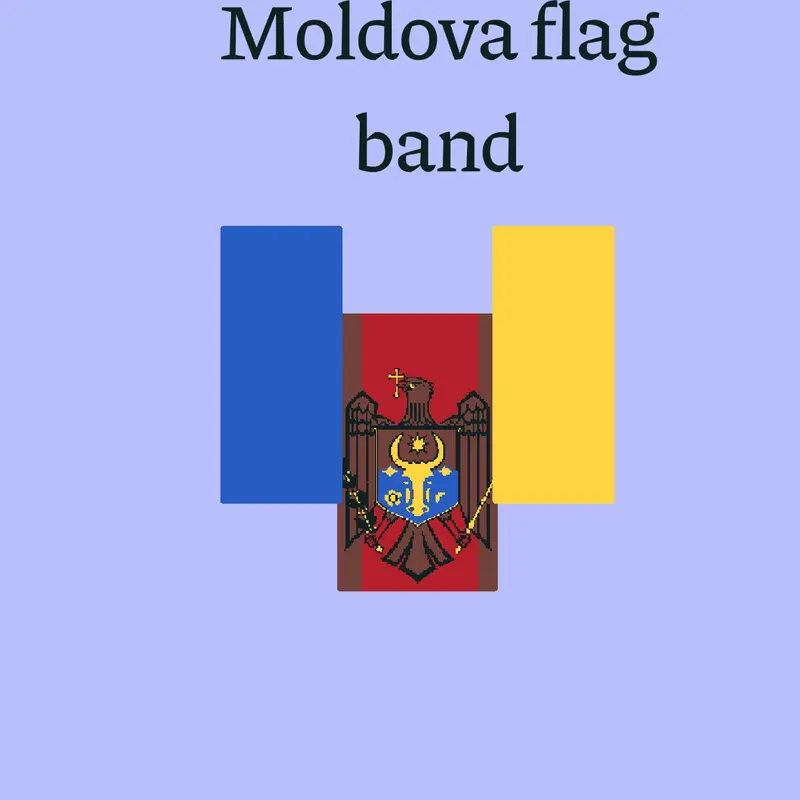 Rate my Moldova flag band! by @Kdml