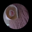 AmangerTown avatar