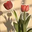 Ribbill12 avatar