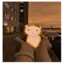 SodaMila avatar