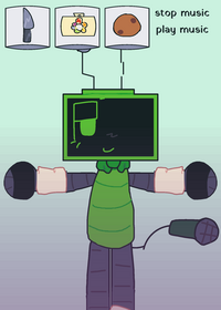 vee ragdoll