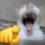 ItzLunar_xx avatar