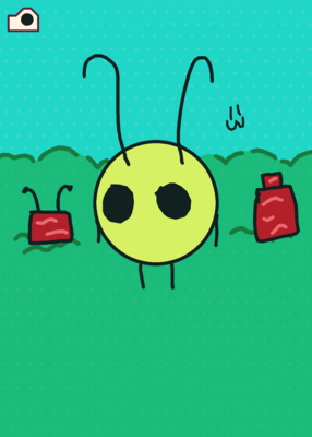 snapshot