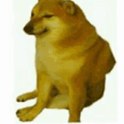 @doggymeme