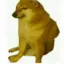 doggymeme avatar