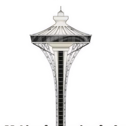 @skyviewtower_2233