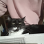 meaw555 avatar