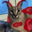 UnknownFloppa avatar