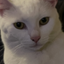 VGM89 avatar