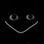 User_Ihavenoidea avatar
