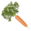 Karrat avatar