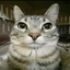 happy_friend avatar