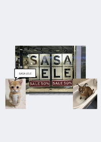 sasa lele meme